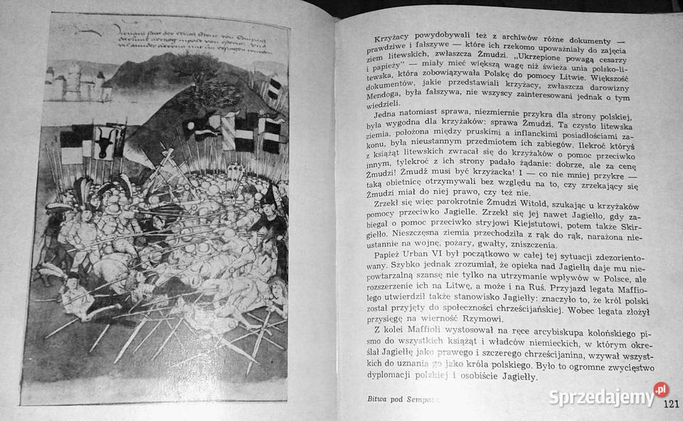 Królowa Jadwiga Opowieść o czasach i ludziach Chełm