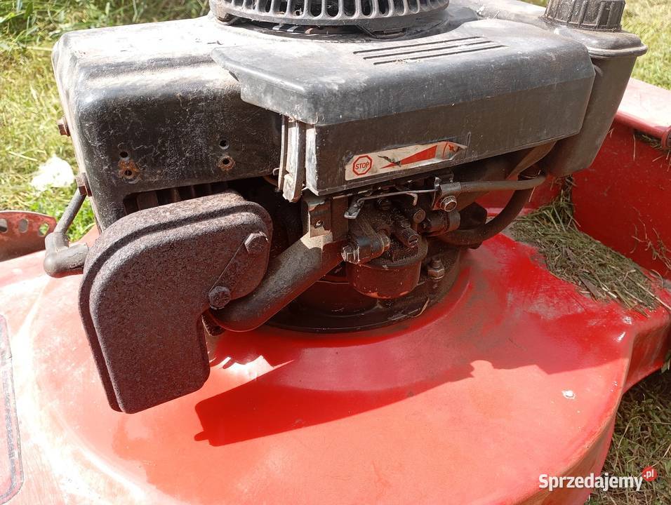 Kosiarka spalinowa Turek