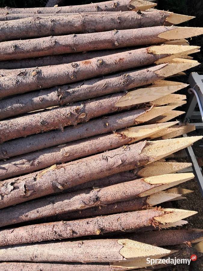 Słupki drewniane pastuch 13m małopolskie
