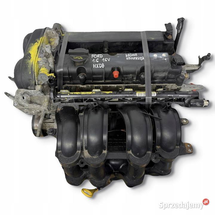 SILNIK HXDA HXDB Ford Focus II MK2 C C 16 16V Ti osobowe lubelskie Chełm