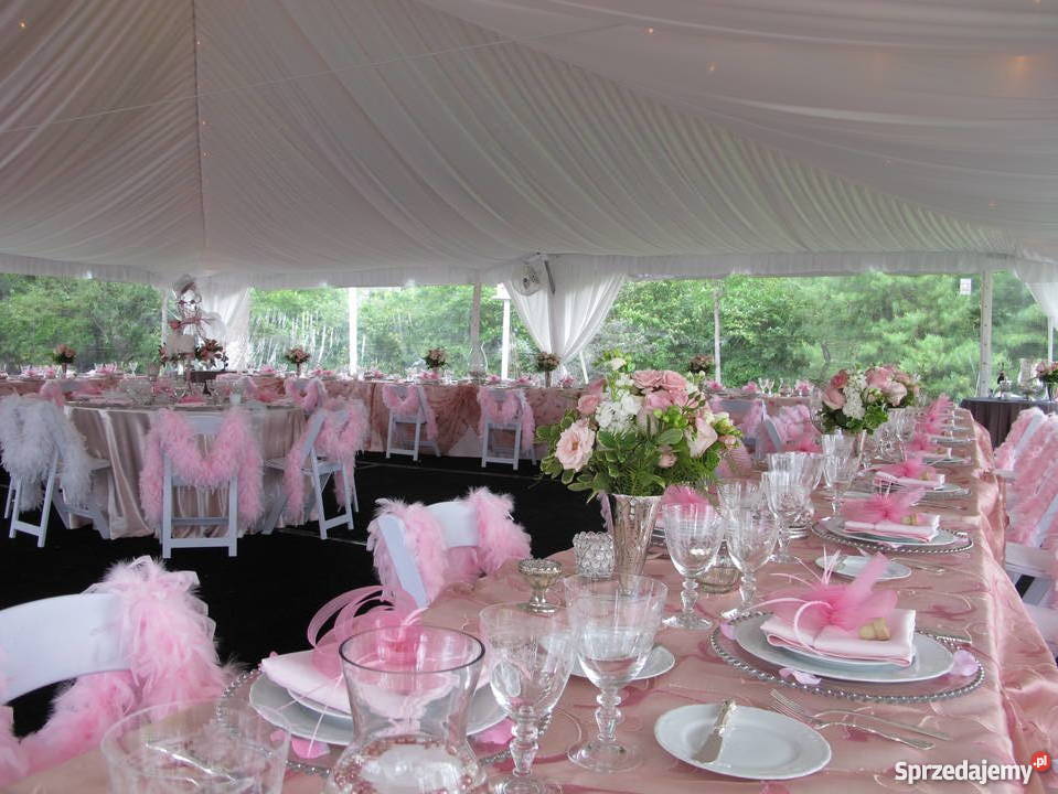 Wynajem namiotów kompleksowa organizacja Siedlce mazowieckie