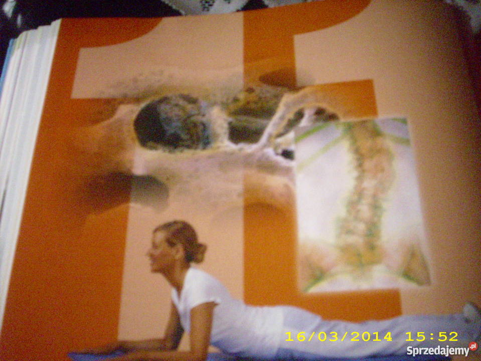 Zdrowe kości mięśnie stawy poradnik sprzedam