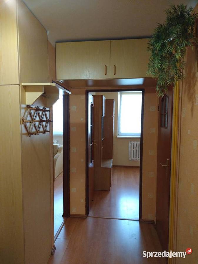 Wynajmę mieszkanie 3pokojowe na pierwszym Brzesko sprzedam