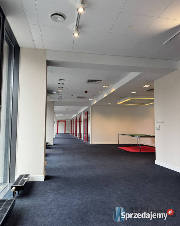 Lokal Warszawa Domaniewska 615m2