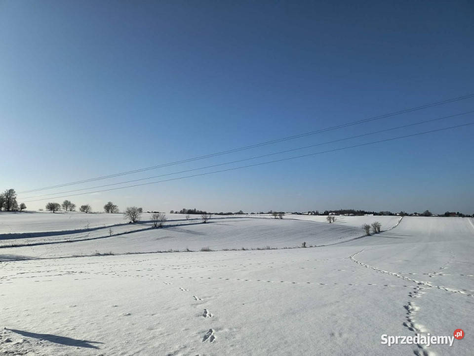 Grunt 1959m2 Jakubowice KonińskieKolonia 1959m2 Sprzedaż Jakubowice Konińskie-Kolonia