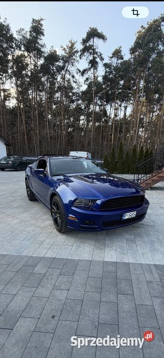 Ford Mustang GT V8 50 Gizałki