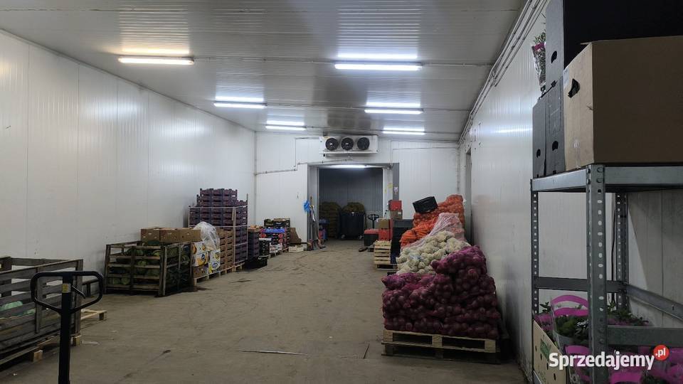 Sprzedam magazyn 350m2 Kielce sprzedam