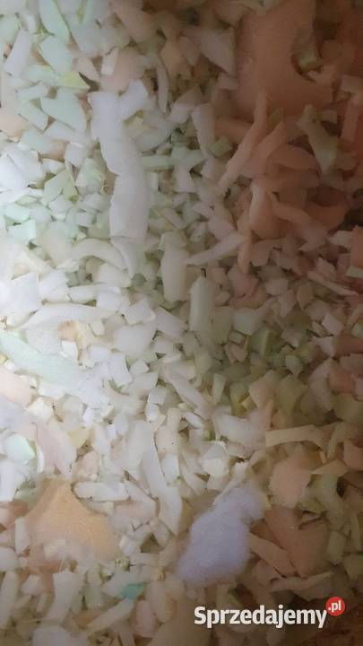 Pianka szarpana 650 Konin