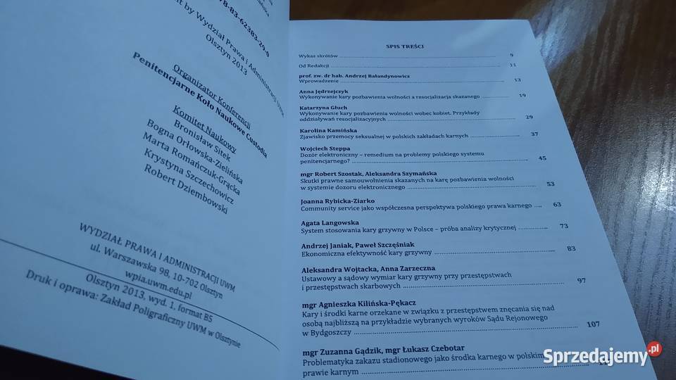 Bezcelowość współczesnych kar i środków karnych Książki naukowe i popularnonaukowe Gdańsk