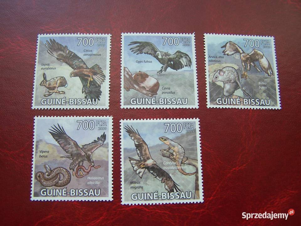 Gwinea Bissau 2009 MNH Fauna Ptaki Drapieżne Filatelistyka Tychy