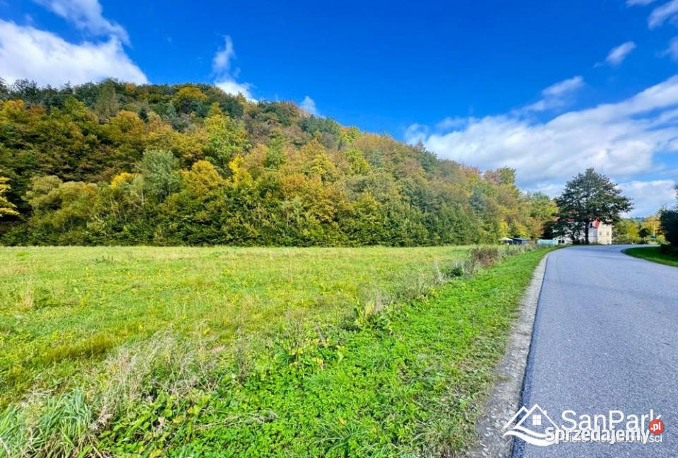 sprzedaży gruntu Wołkowyja 2500m2 110zł/m2 Sprzedaż