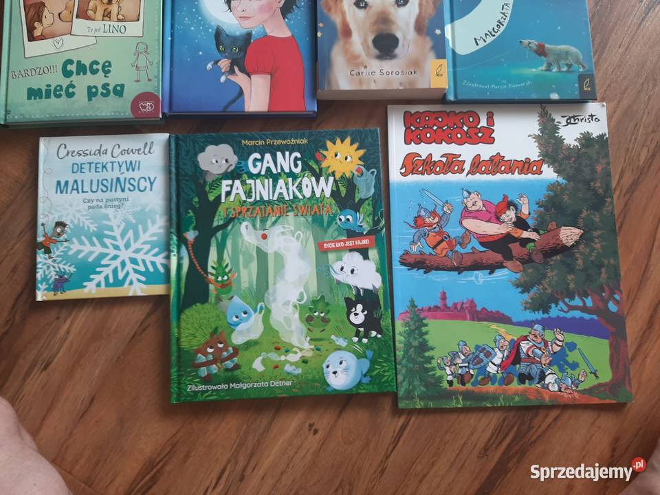 11 książeczek dzieci stan Sandomierz