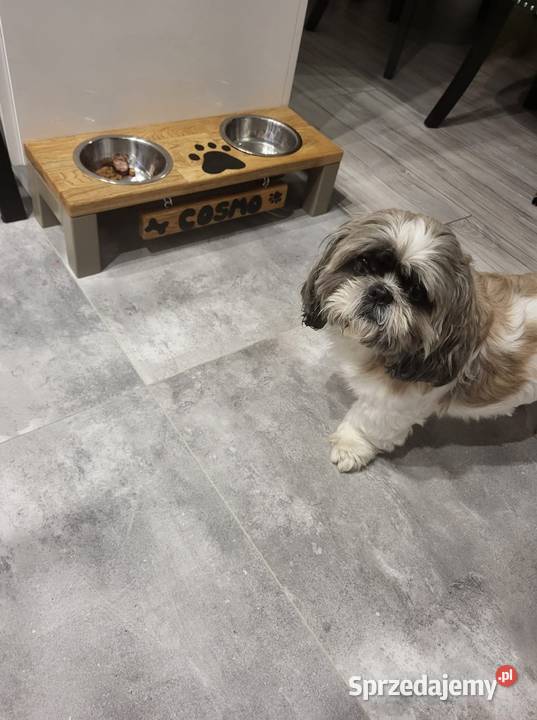 Stojaczek na miski psa kota Wejherowo