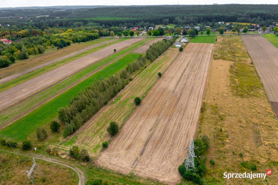 Spokojna działka 1400 m Skotniki Media WZ