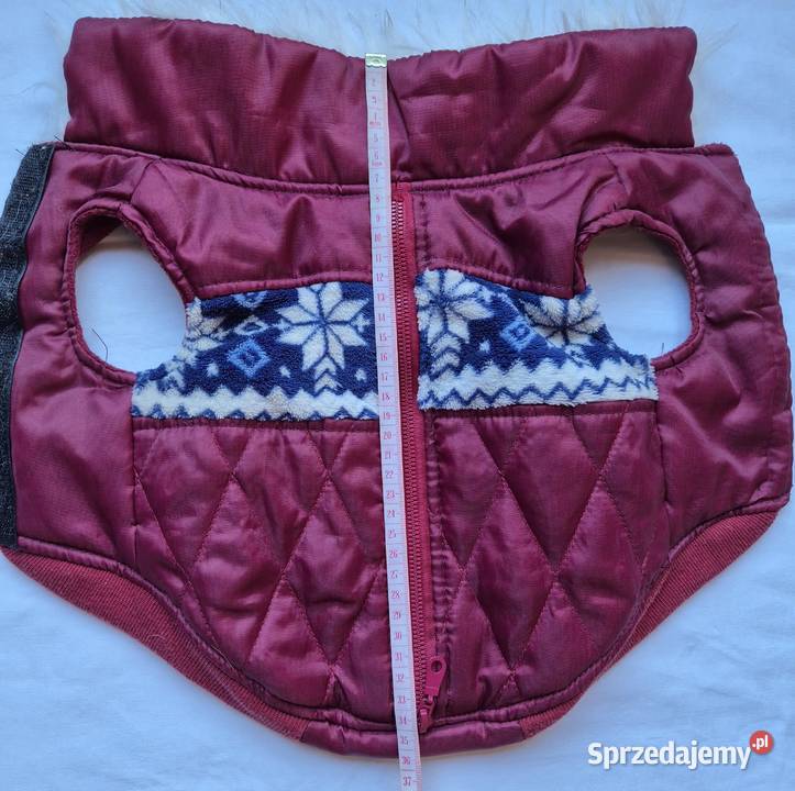 Ubranko na pieska Brzesko