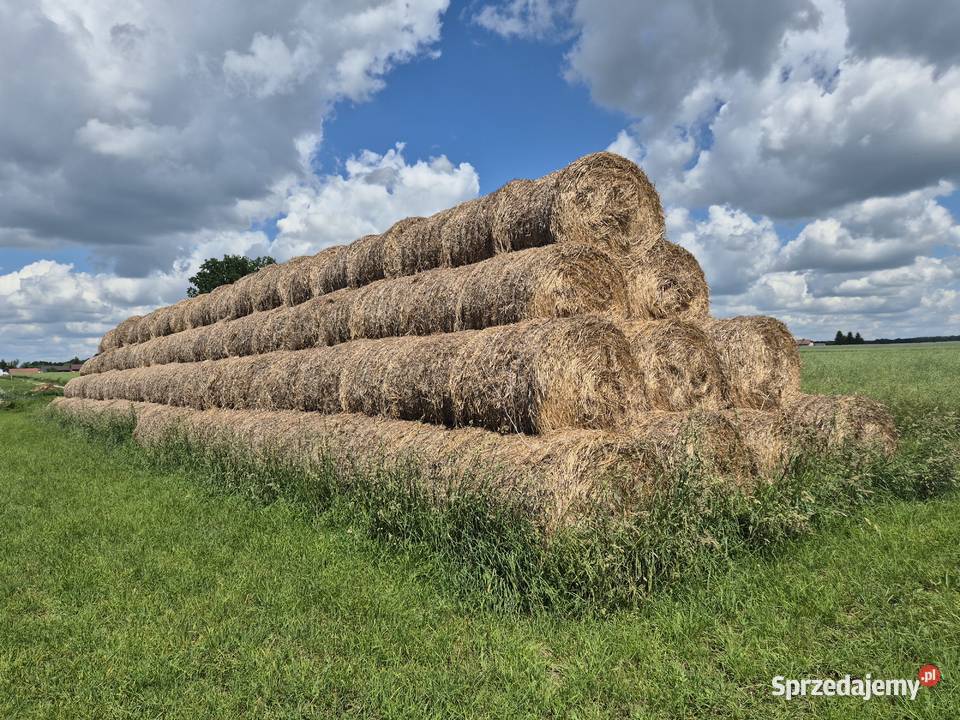 Wymienie na obornik sprzedam Trawy, słoma Godziszów