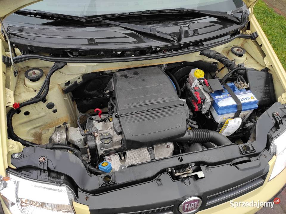 Fiat Panda 12 Automat 34 2008r automatyczna Goleniów sprzedam