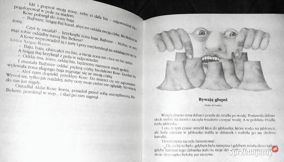 Twierdza Surami Maria Górska Chełm