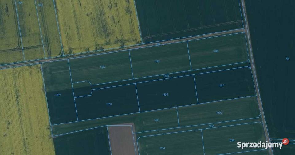 Dz RolnoBudowlana 3000m2 Powiat Strzeliński rolna Kurczów sprzedam