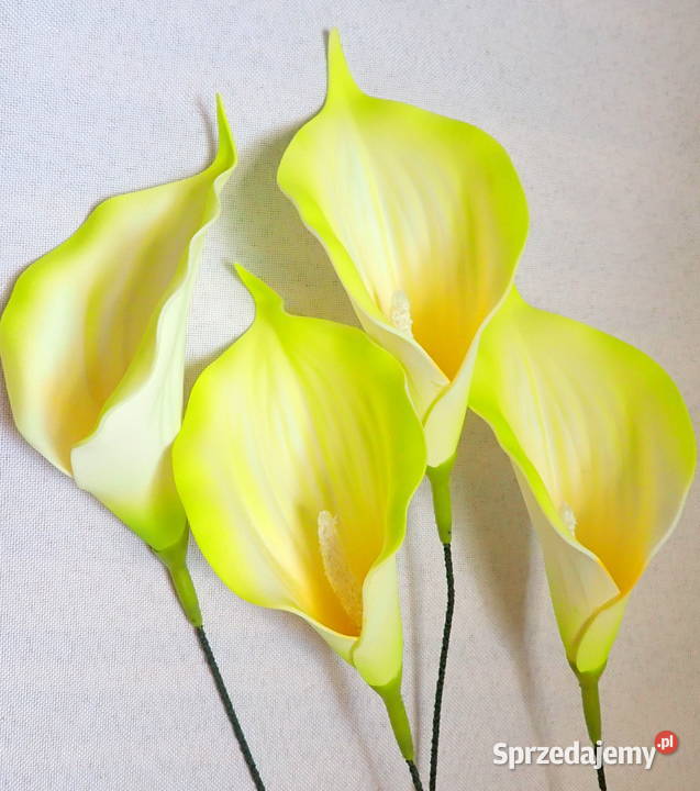 Kalia sztuczna wyrobowa piankowa do bukietów 6 Siewierz sprzedam