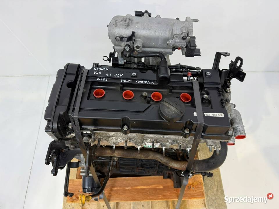 SILNIK G4EE Hyundai Accent III MC Getz TB Kia Chełm