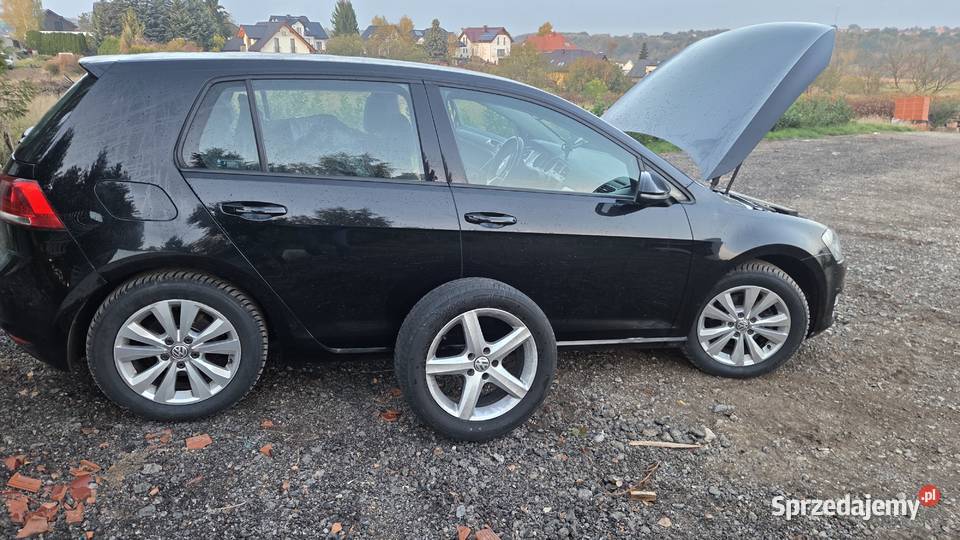 Volkswagen Golf 7 2015r BlueMotion Salon 1 gniazdo SD małopolskie