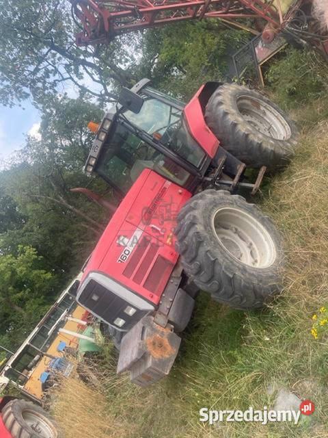 Massey Ferguson 8160 części Jastrzębniki sprzedam