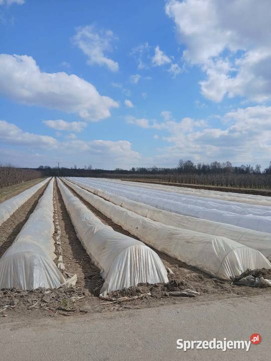 konstrukcja tunel do szparagi truskawek ogórków Wilków
