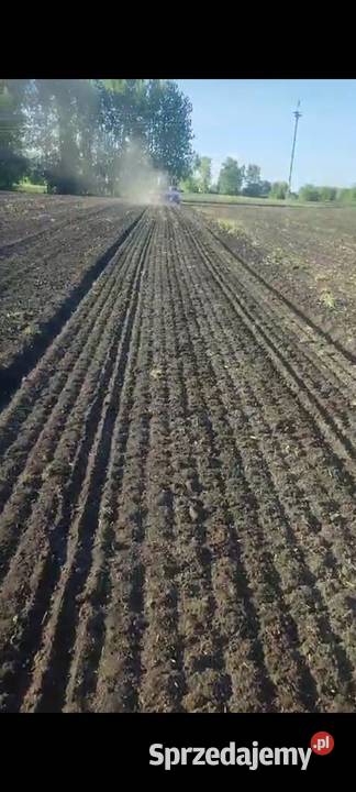 Siewnik monosem ng 6 sekcyjny do siania w lubelskie Peresołowice