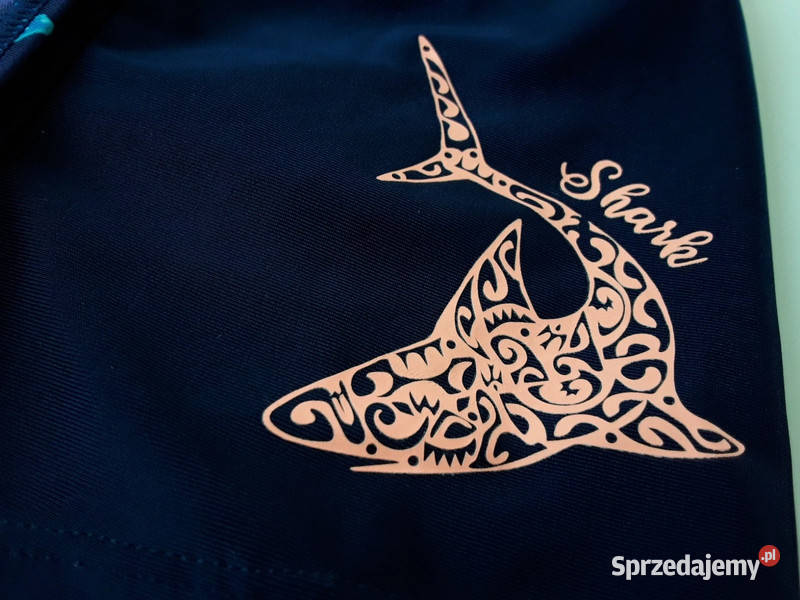 Dwie pary kąpielówek chłopięcych 98119 Sport Warszawa sprzedam