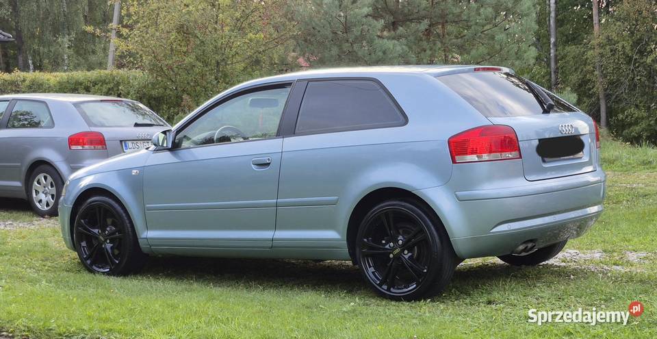 Audi a3 8p 19 tdi 2007 297563km świętokrzyskie