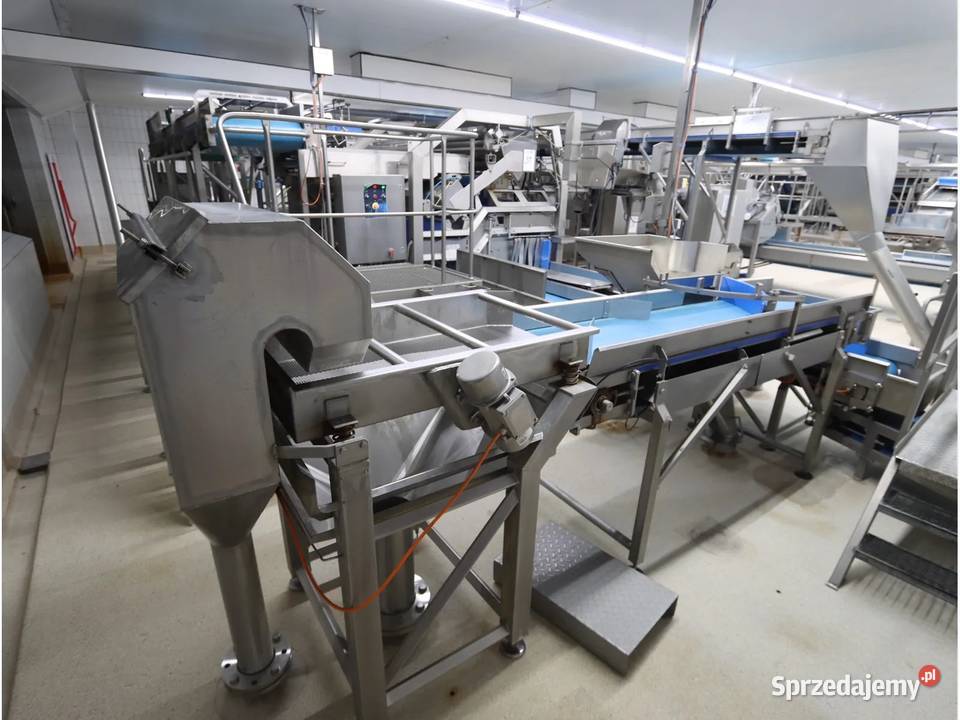 Odenberg Tomra Linia sortowania ziemniaków Produkcja Krotoszyn