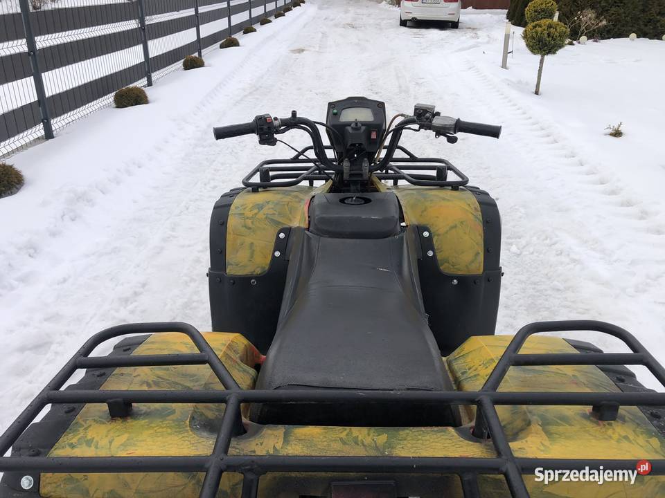 Quad 250 duży naped na wale hak garażowany Nowa Słupia