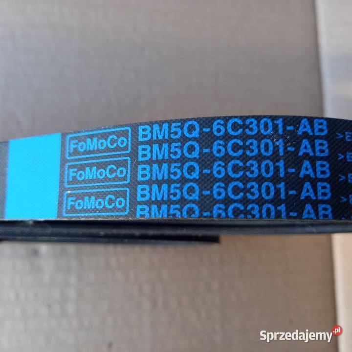 1700744 BM5Q6C301AB Pasek wielorowkowy Ford Elementy napędu małopolskie Kraków