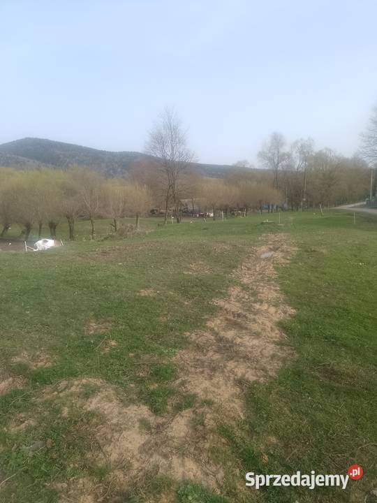 Sprzedam Działkę w Bystre Bieszczady gmina Kraśnik