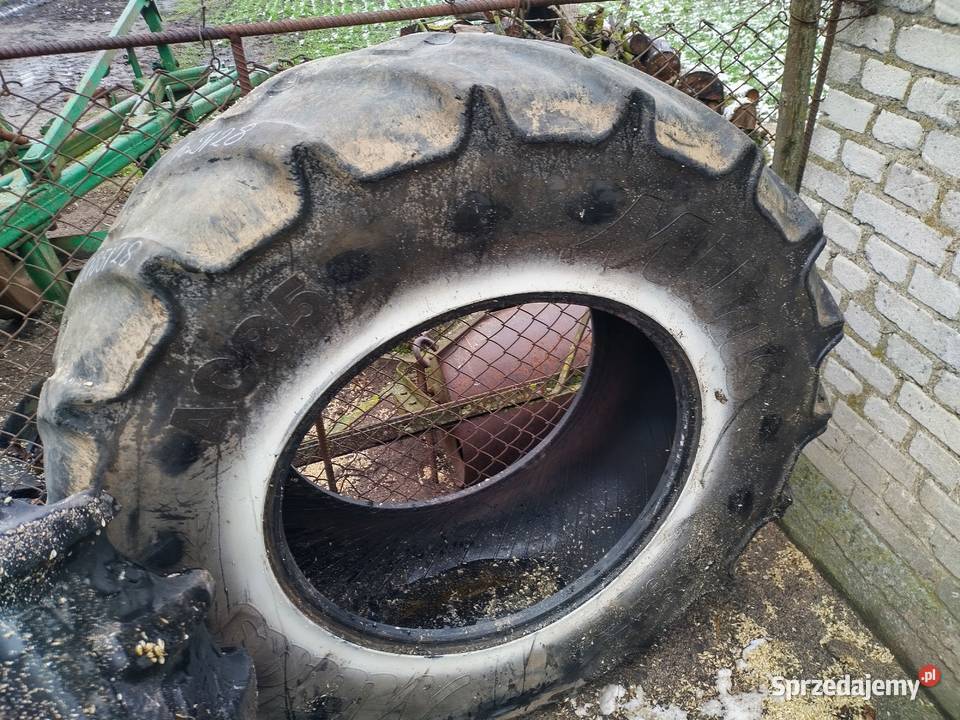 Opony 4207028 Radial Continental 16928 Mitas Wola Bachorna sprzedam