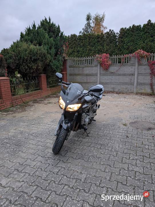 Yamaha Fazer Fzs1000 Szczecin