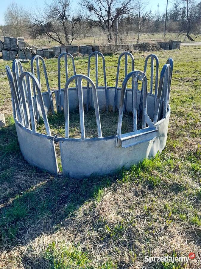 Pasnik na siano bydła koni wielkopolskie Jastrowie sprzedam