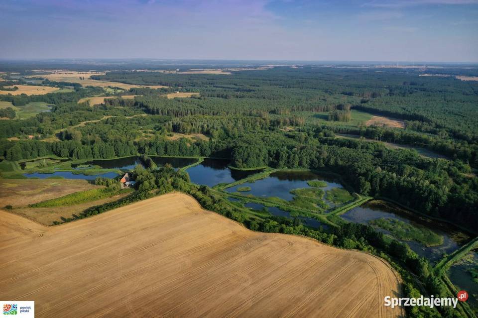 Na sprzedaż 235 ha prywatnej enklawy ze stawami Róża Wielka