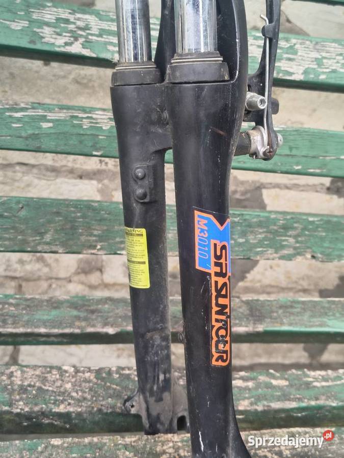 Rower Alpina Eco M10