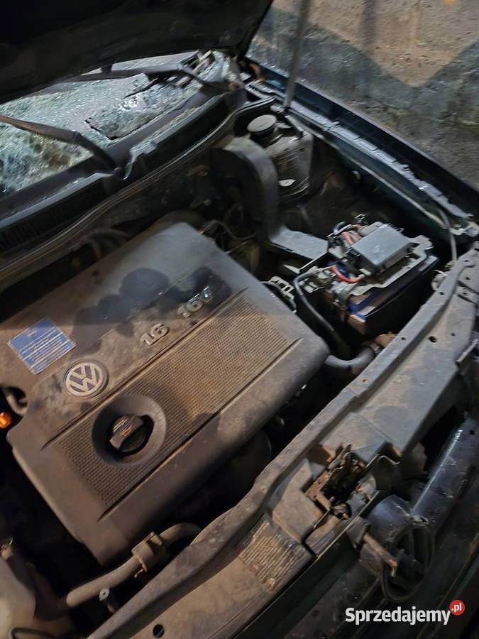 Spszedam silnik golf 4 16 16v mazowieckie Grabów nad Pilicą