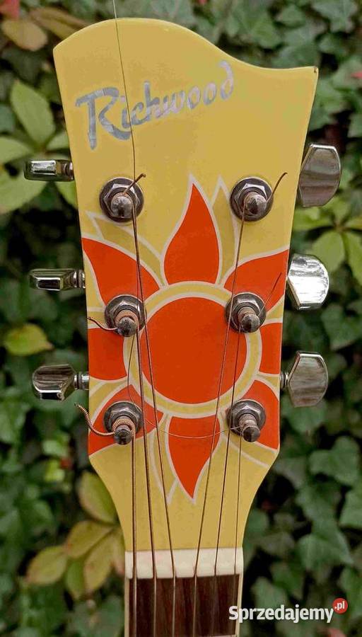 Gitara akustyczna Richwood RG15CYS łódzkie