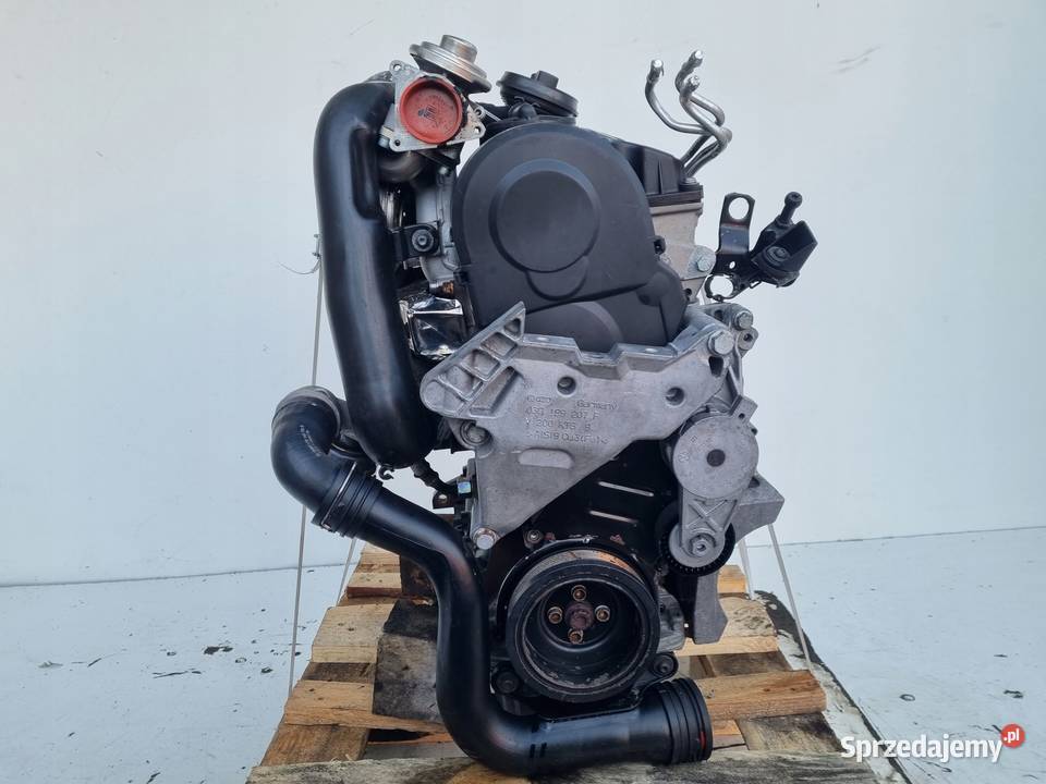 SILNIK KOMPLET VW Golf V 19 TDI 90 Silniki kompletne sprzedam