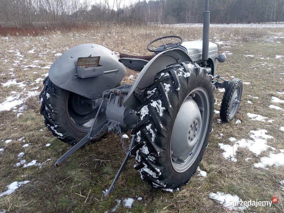 Massey Ferguson tea 20 mazowieckie Radom