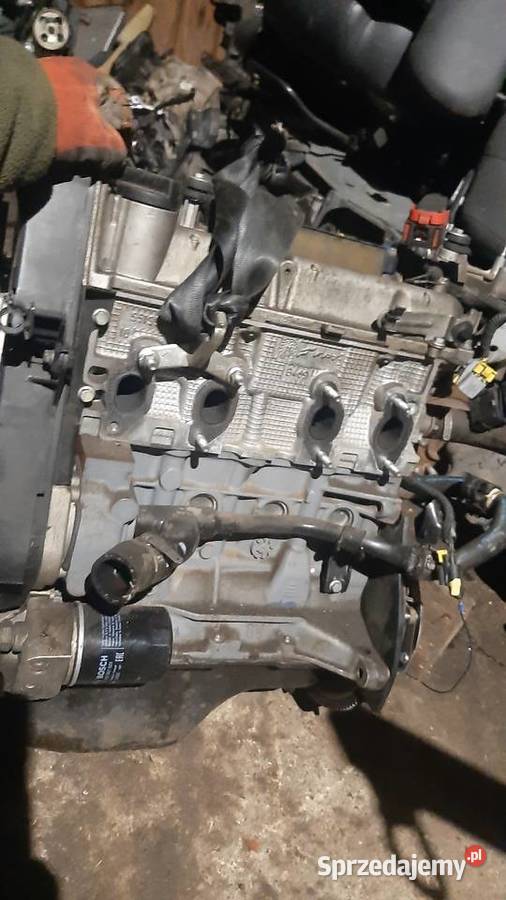 silnik 79 12 Fiat Ford 169A4000 osobowe Silniki kompletne Korzeńsko