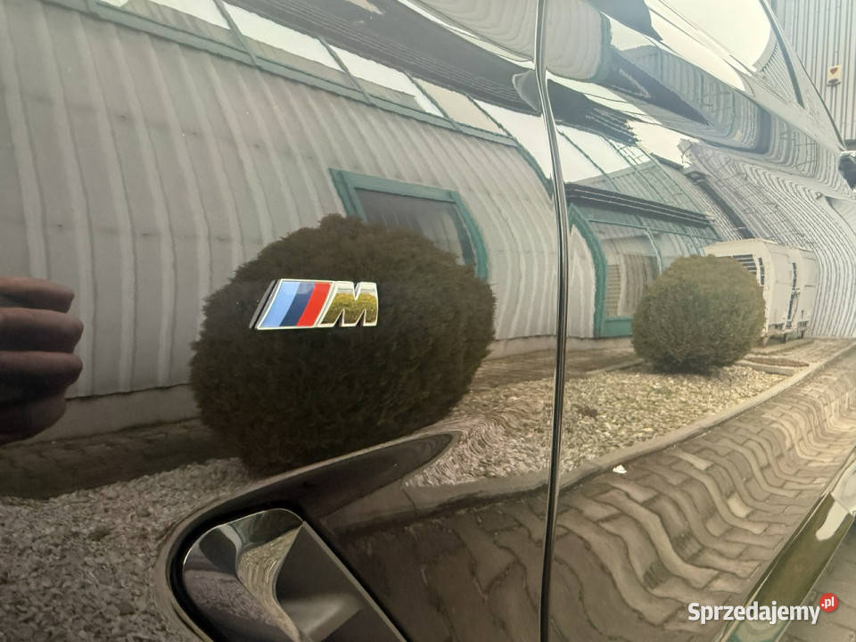 BMW X4 30i 252 Przebieg 36000 Bezwypadkowy M Węgrzce