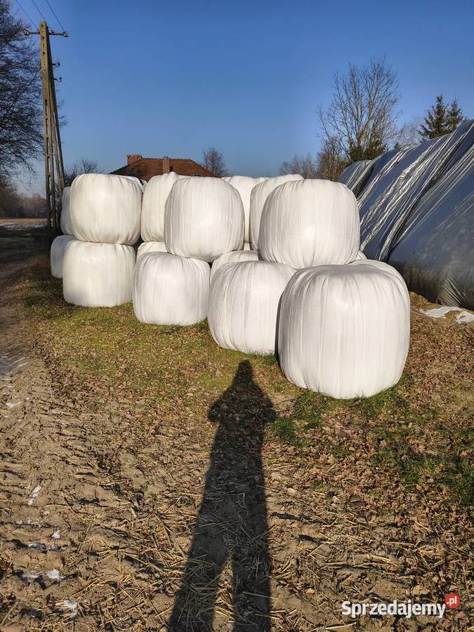 Sprzedam sianokiszonkę Trawy, słoma Radoszewice