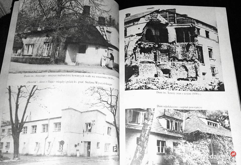 Laski w czasie okupacji 19391945 Alicja Chełm