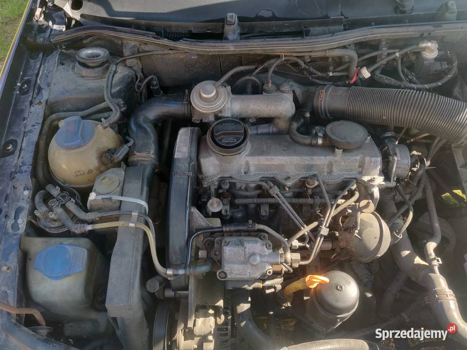 Skoda Octavia I 19 TDI Klimatyzacja sprawna świętokrzyskie Pacanów