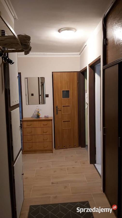 Mieszkanie trzy pokojowe Krzyki Liczba pokoi 3 Wynajem Wrocław